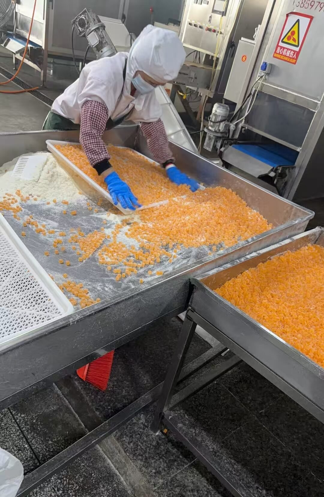 Qifeng Food Production Facility