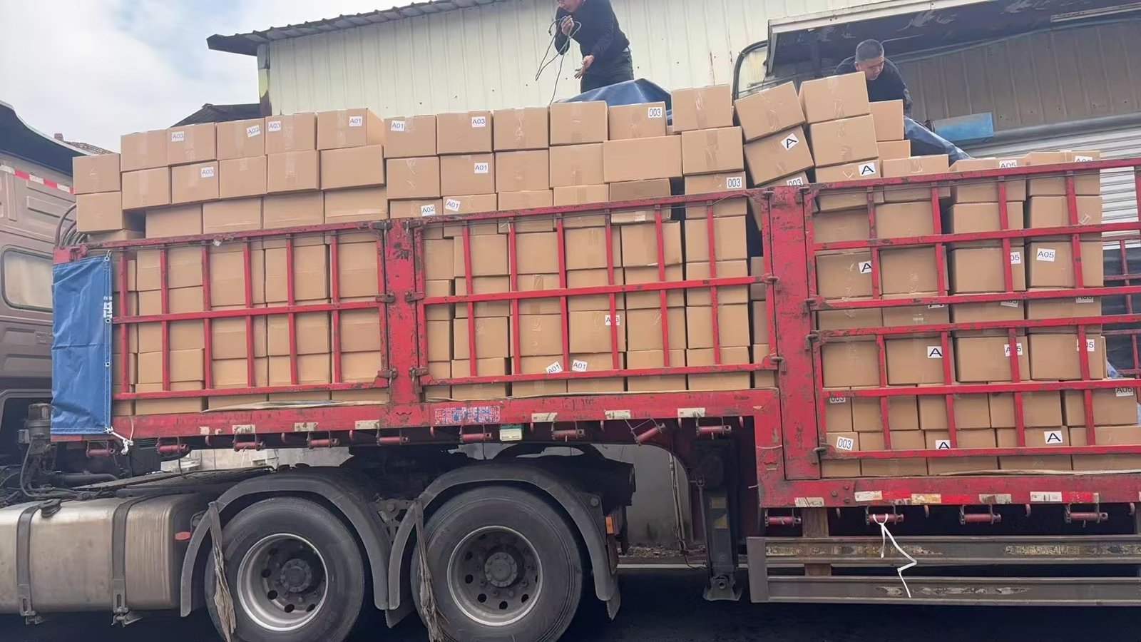 Packaging & Global Dispatch